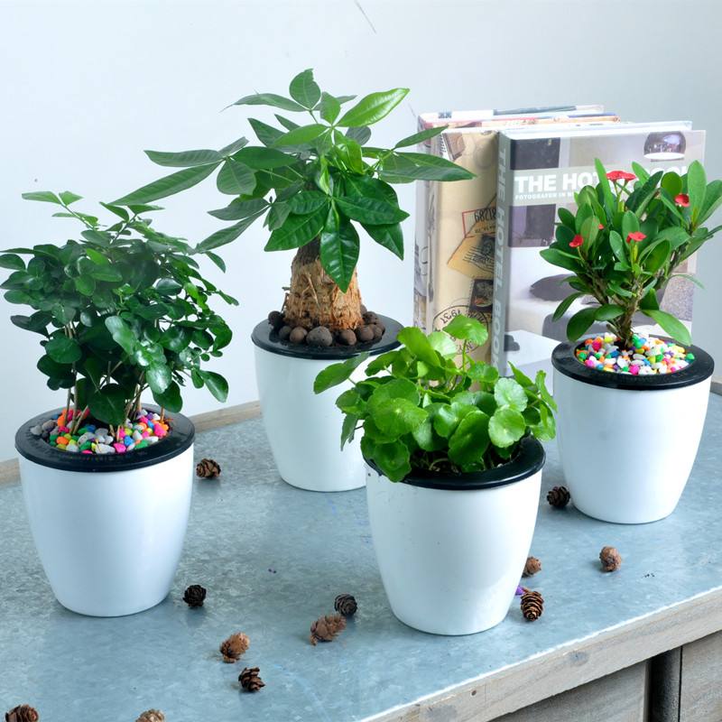 ���u�k�����b��