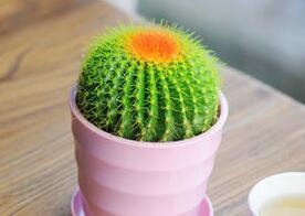 ���u�k�����bGֲ���x��